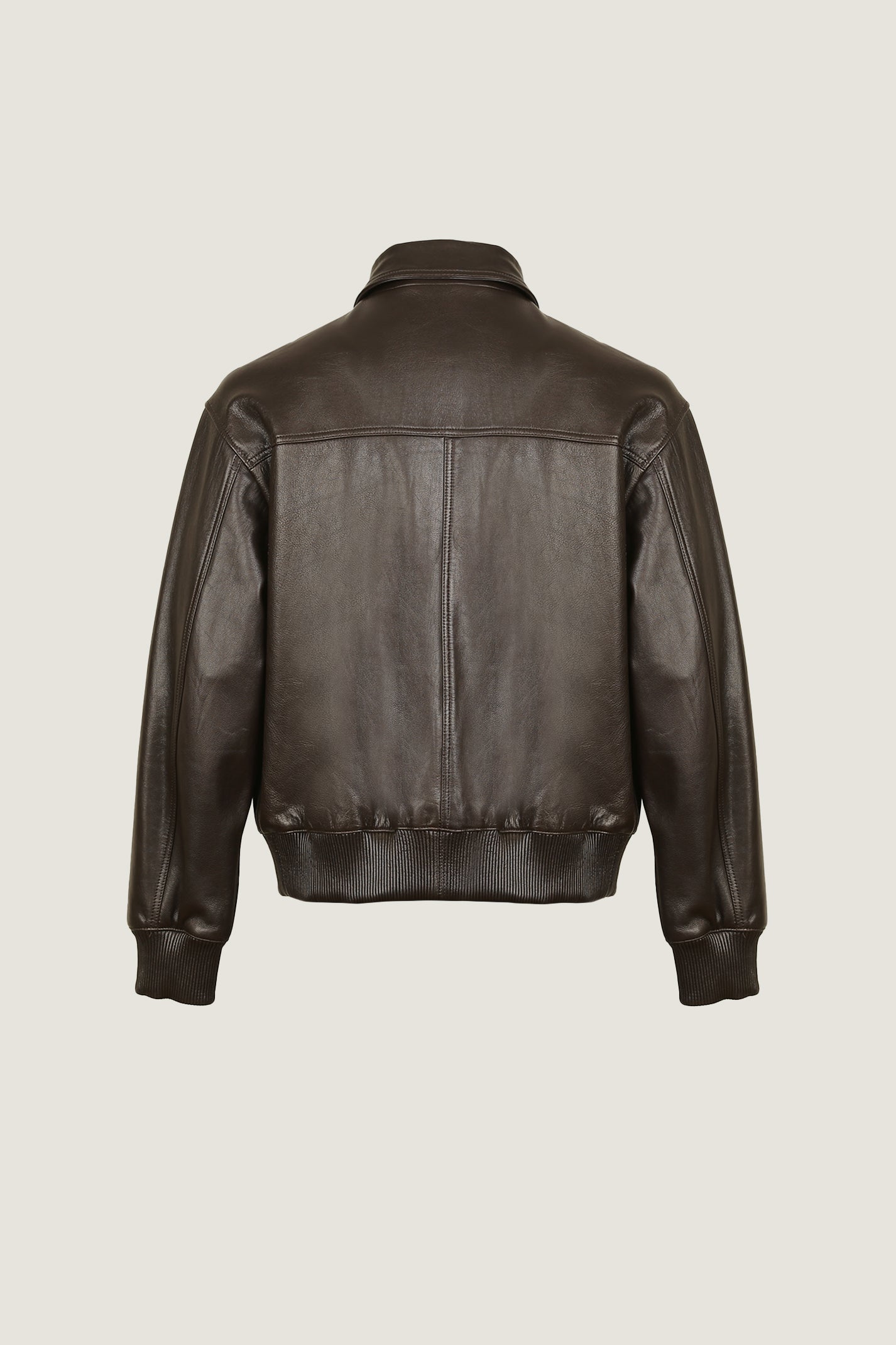 Pilot Leather Jacket | Men