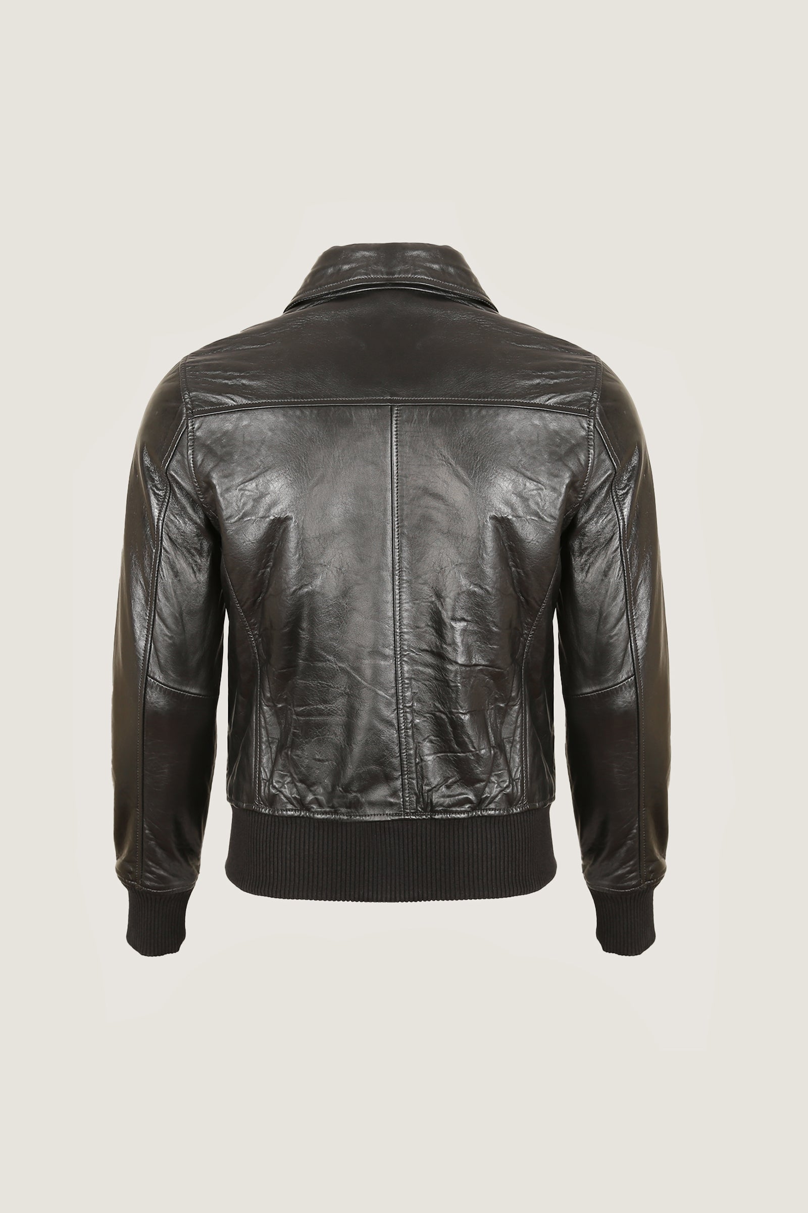 Pilot Leather Jacket | Men