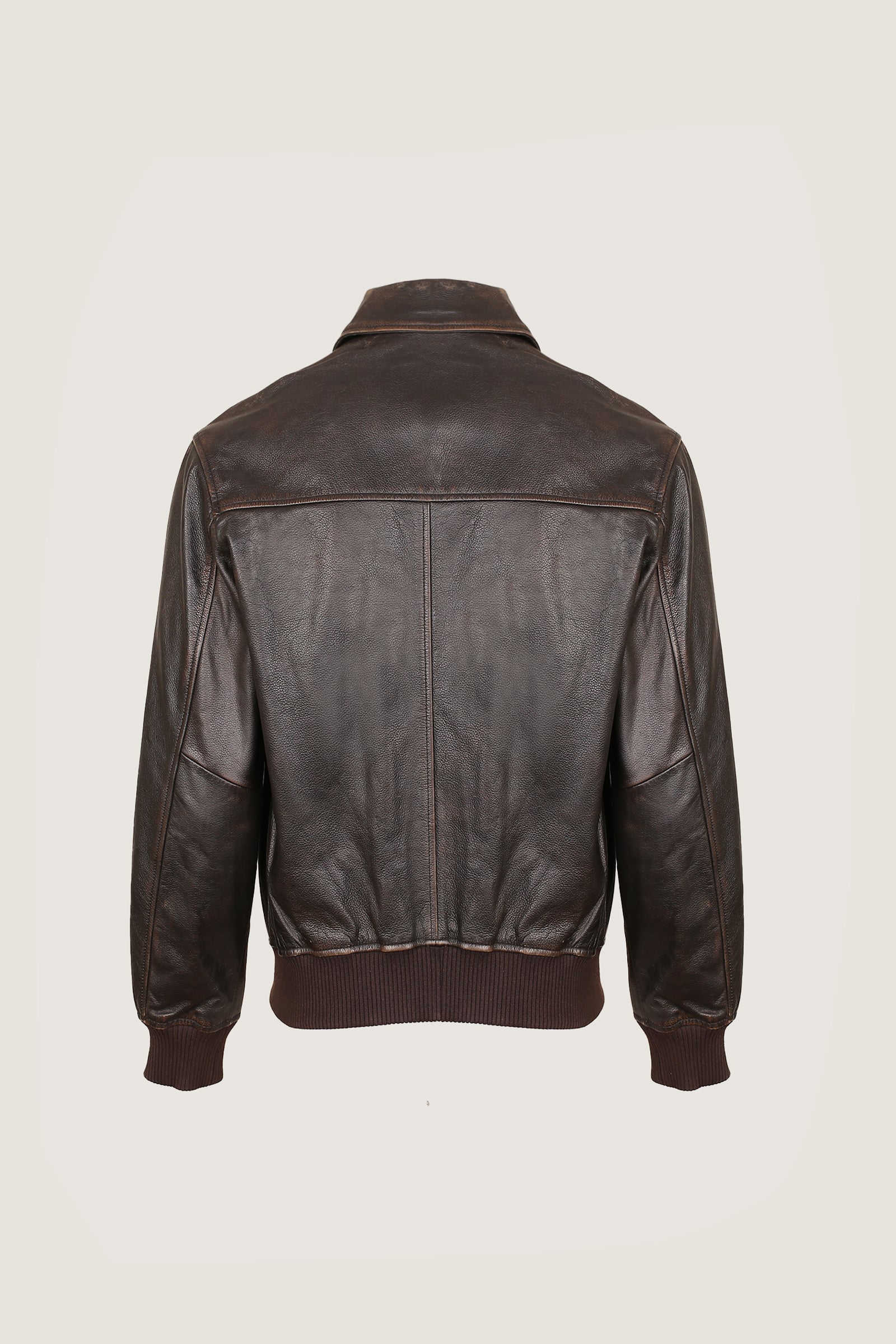 Pilot Leather Jacket | Men
