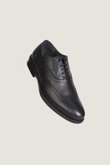 Brogue Oxford Shoes | Men