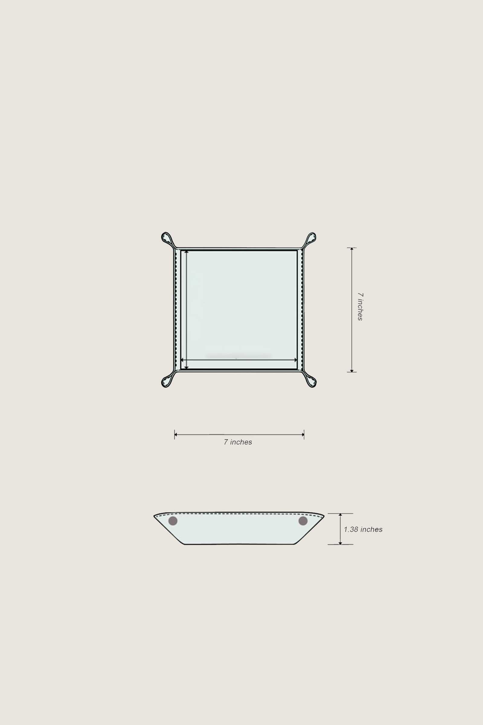 Luxury Leather Coin Tray