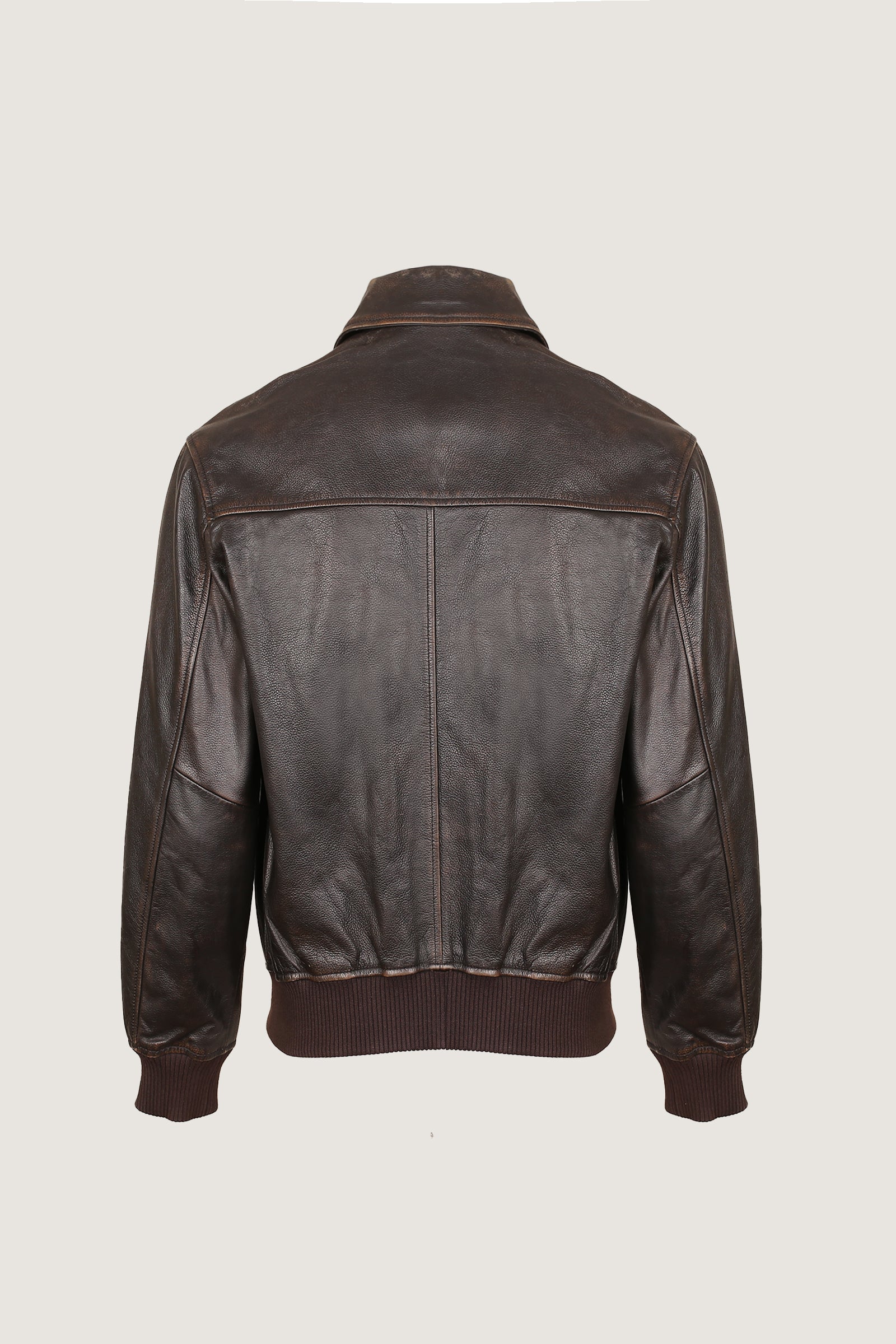 Pilot Leather Jacket | Men